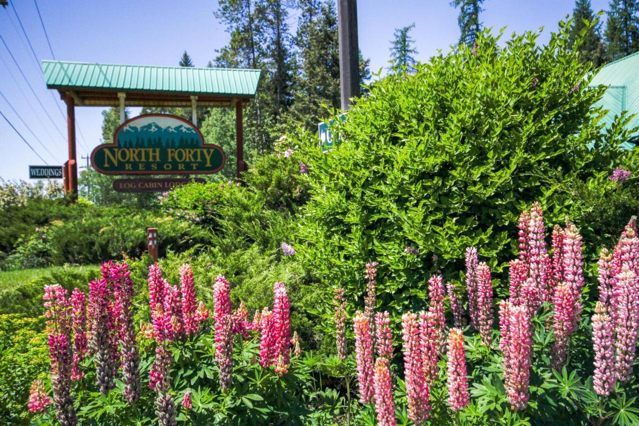 North Forty Resort كولومبيا فولز المظهر الخارجي الصورة